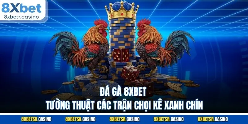 Đá gà 8XBET tường thuật các trận chọi kê xanh chín