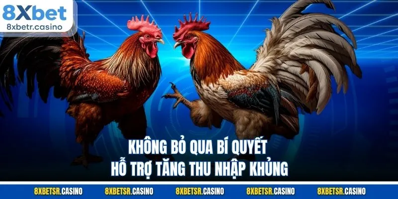 Không bỏ qua bí quyết hỗ trợ tăng thu nhập khủng